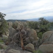 MonoBasin 200 : MonoBasin